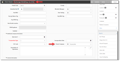 Client Master record with child company identified