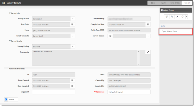 Survey Results Dataform with Open Related Form Link Highlighted