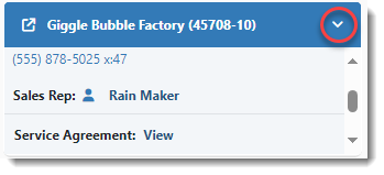 Client Info Widget with Additional Fields Displayed