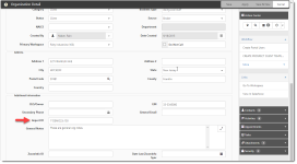 Organization Detail Record With Multi-Tenant Import ID